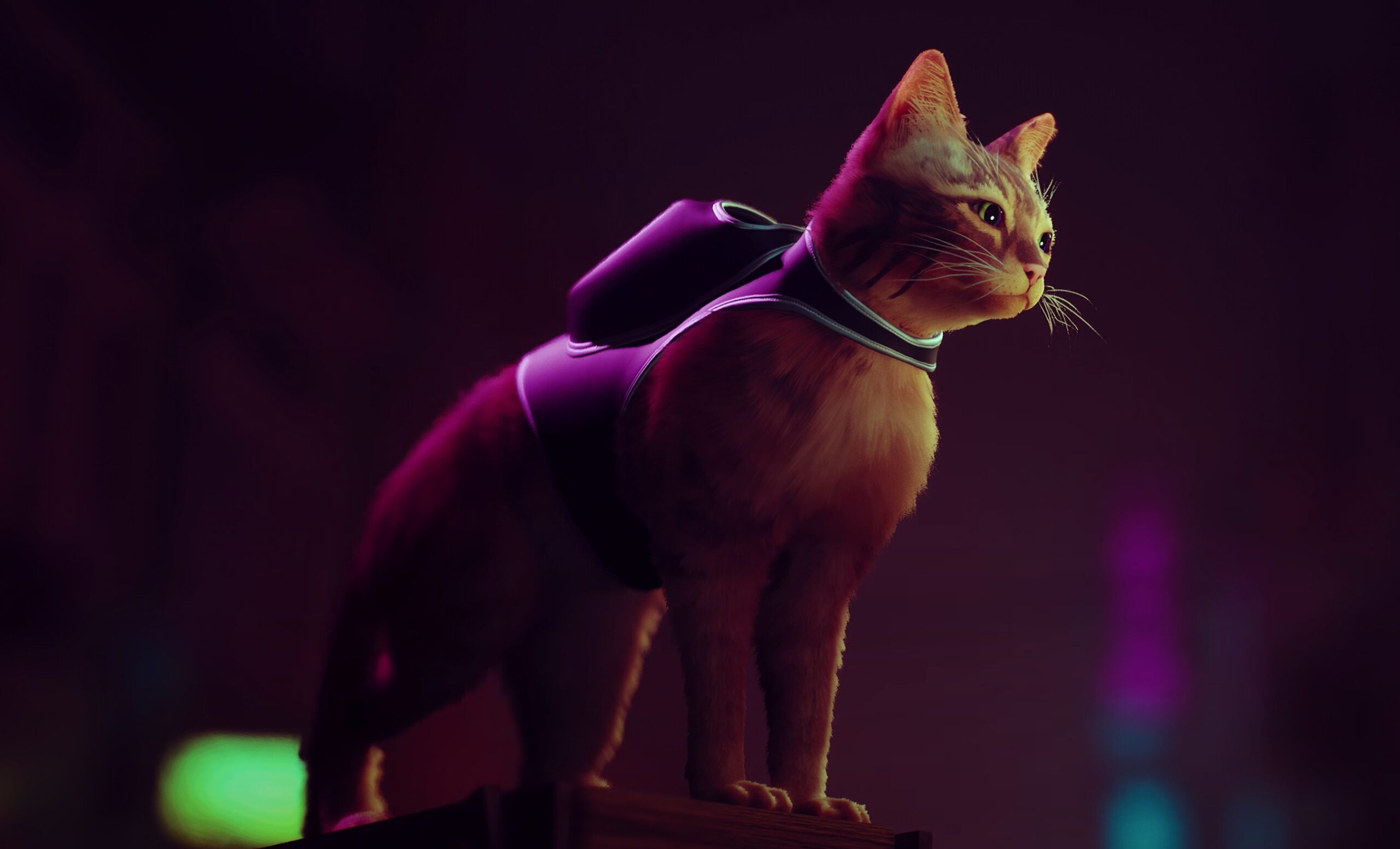 Smocking Stray Stray: Does the Story Have a Secret Ending?